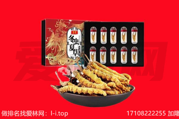 镇康县回收虫草.jpg